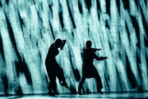 13022026-_DSF9766のコピー2