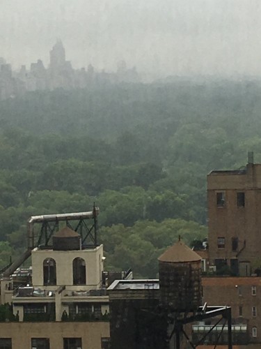 ニューヨークの秋、高いビルの隙間から霧のセントラルパーク