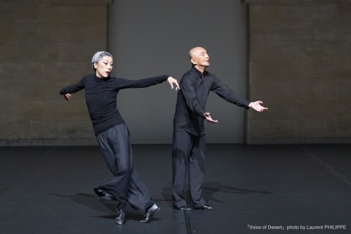 Voice of desert de Saburo Teshigawara